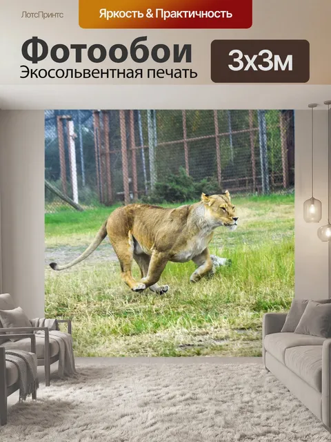 Фотообои Лев