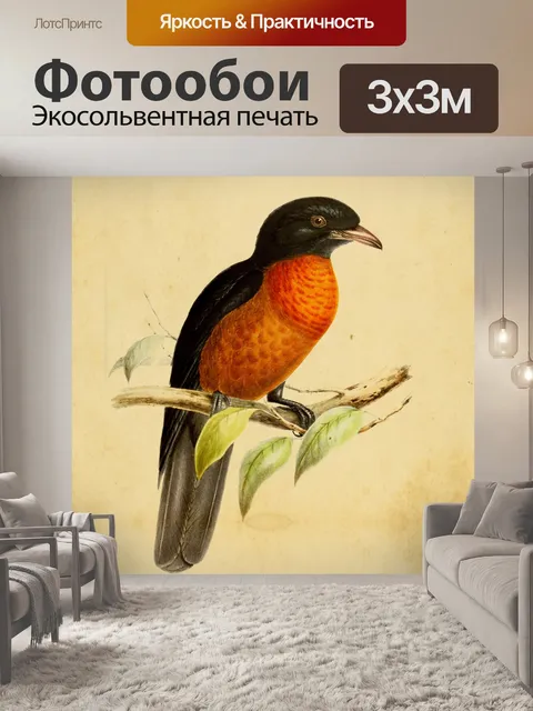 Фотообои Антикварный художественный принт с птица