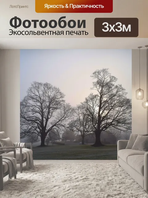 Фотообои Туман