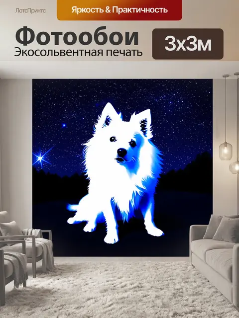 Фотообои создайте силуэт белого шпиц-собаки на фоне звездного ночного неба, где яркие звезды оформляют окружение
