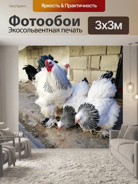 Фотообои Птицы