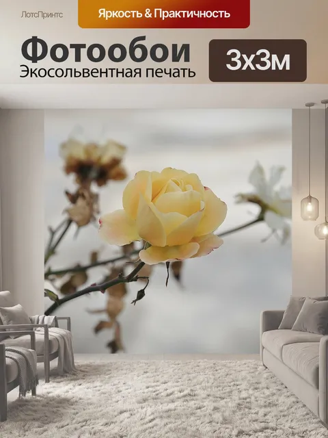 Фотообои Розы