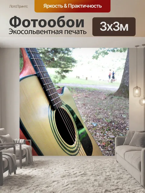 Фотообои Гитара на открытом воздухе