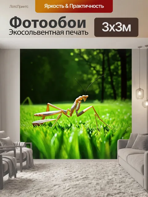 Фотообои стильный богомол, который медленно перемещается по живописной зеленой траве, на фоне которой видны силуэты…