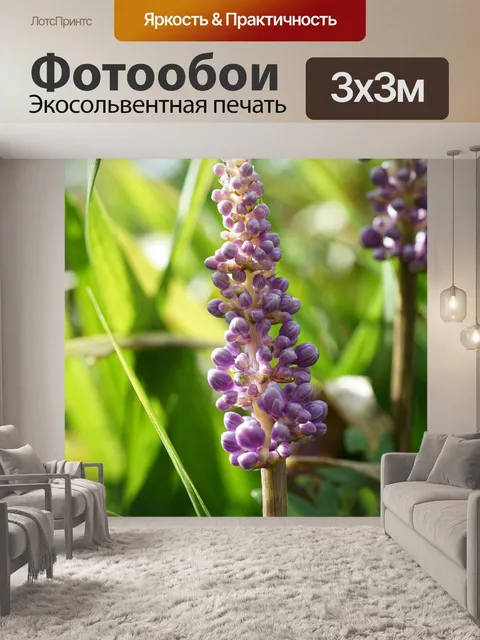 Фотообои Цветы
