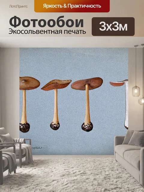 Фотообои Винтажная иллюстрация чемпиона грибов