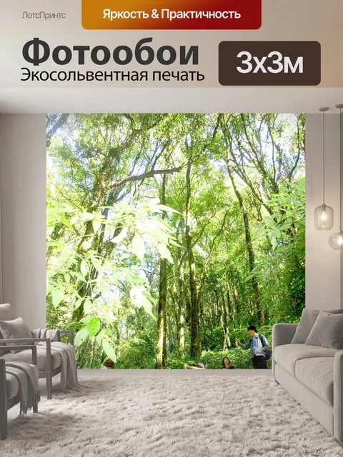 Фотообои Природа тропический лес дои Интанон наци
