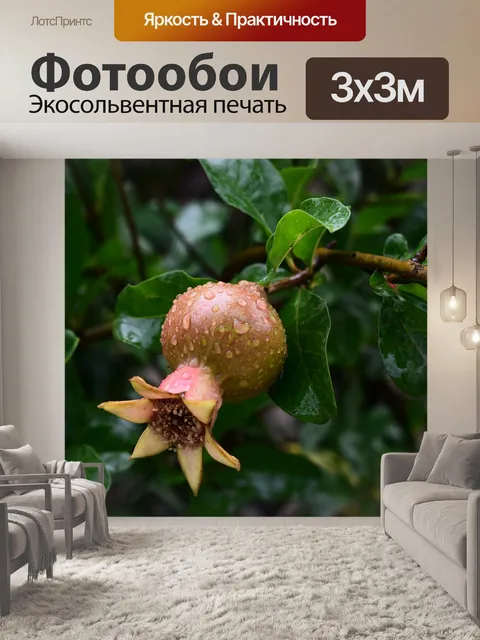 Фотообои Дождь