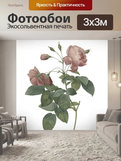 Фотообои Цветы