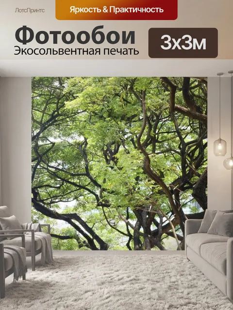 Фотообои корявыми деревья