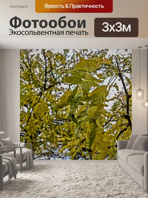 Фотообои Золотые листья мокрые от дождя