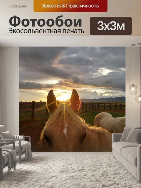 Фотообои Лошадь