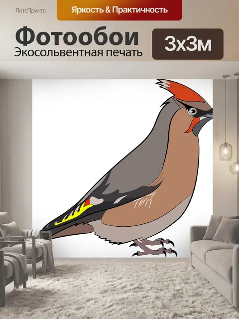 Фотообои Птицы