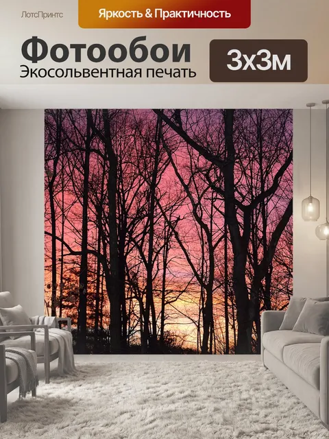 Фотообои Закат сквозь деревья
