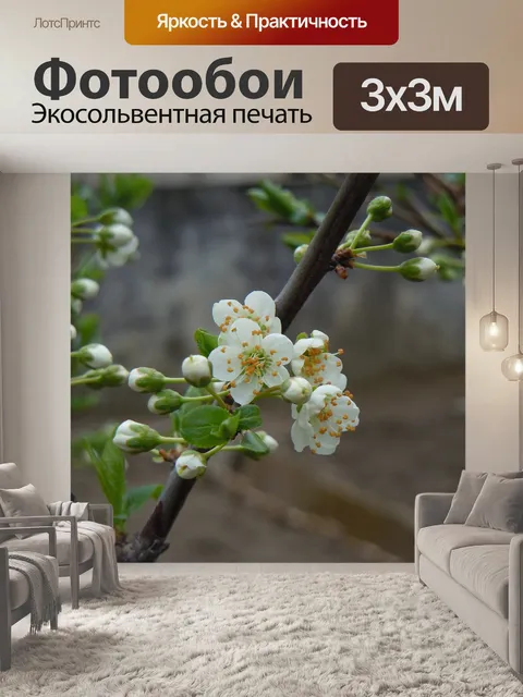 Фотообои Цветы