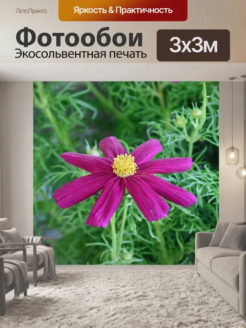 Фотообои Цветок
