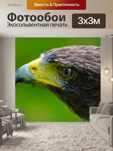 Фотообои Птица