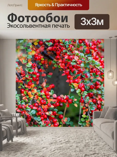 Фотообои Ботанический сад в Быдгоще