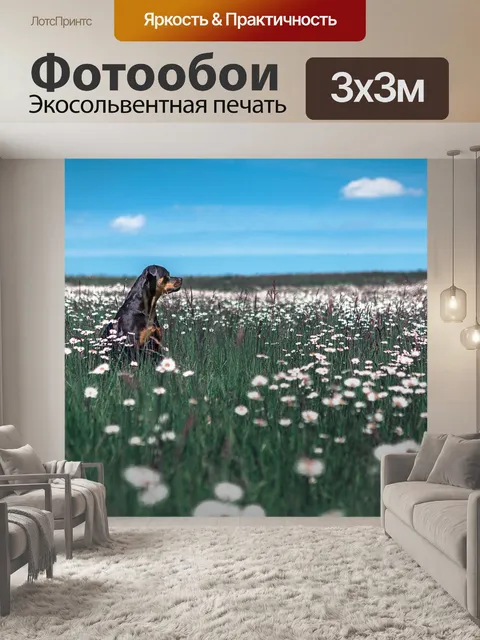 Фотообои Собака