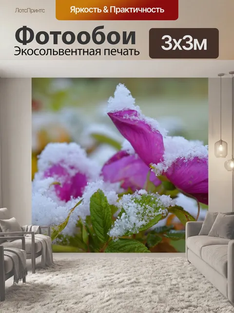 Фотообои Расцветает