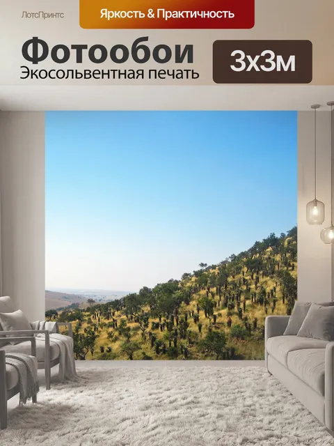 Фотообои южноафриканский пейзаж с холмом