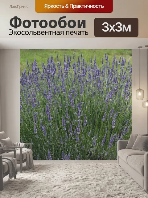 Фотообои Лаванда