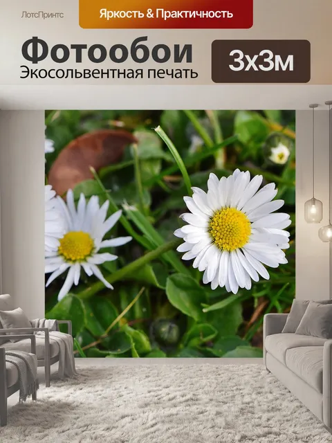 Фотообои Весенний луг