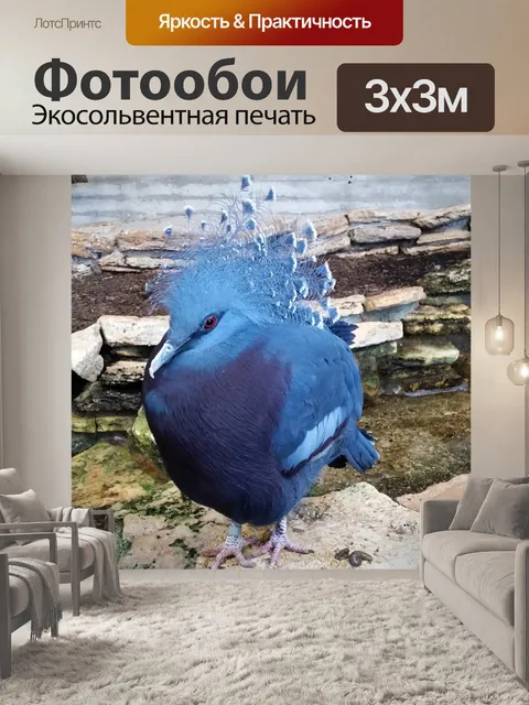 Фотообои Великолепный голубь