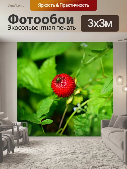 Фотообои Земляники