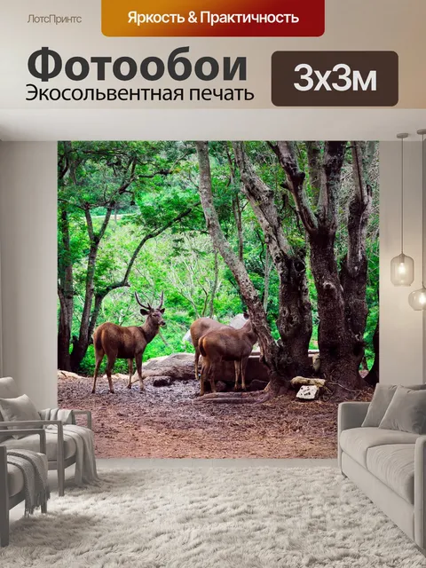 Фотообои Олень