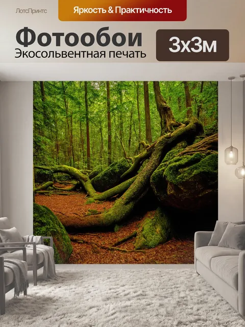 Фотообои опасный лес с огромными камнями и корнями