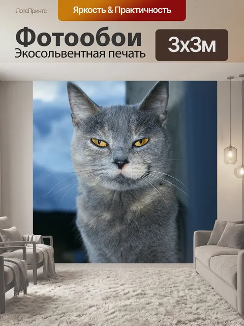 Фотообои Кошка