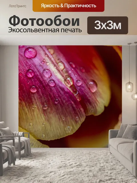 Фотообои Тюльпан