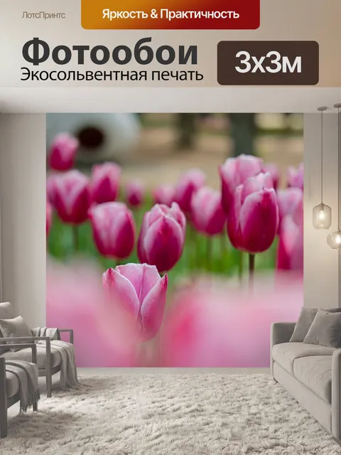 Фотообои Тюльпаны