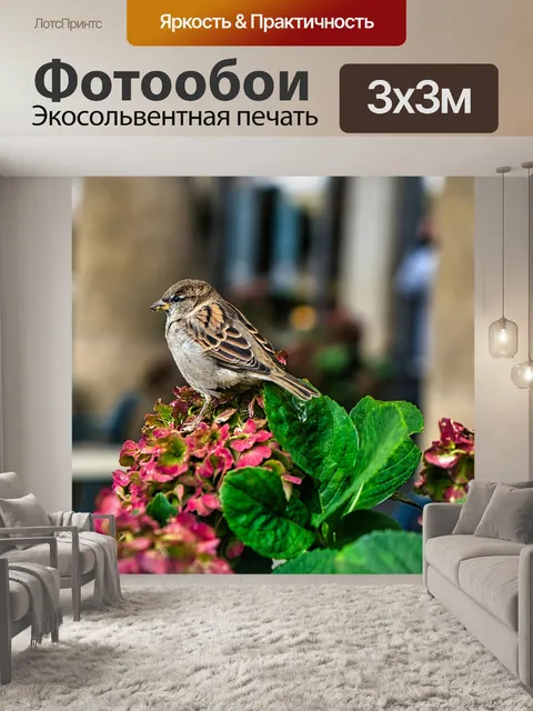 Фотообои Птица