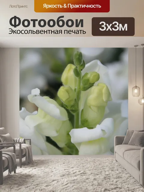 Фотообои Цветок