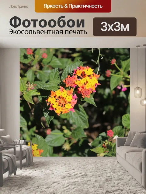Фотообои Цветок