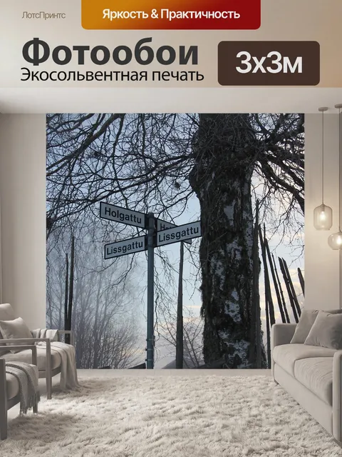 Фотообои Туманный