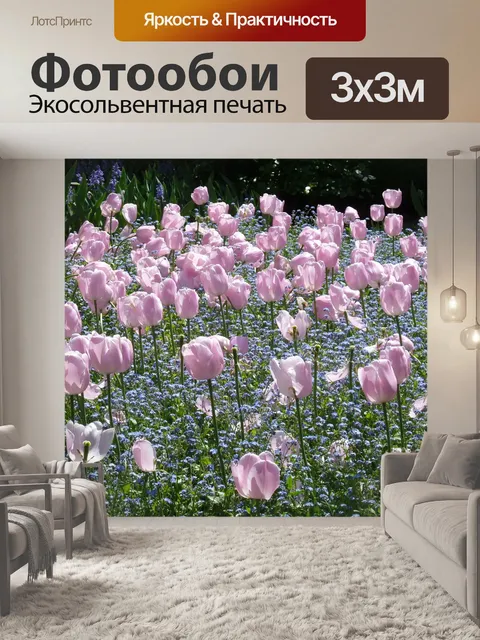 Фотообои Тюльпаны