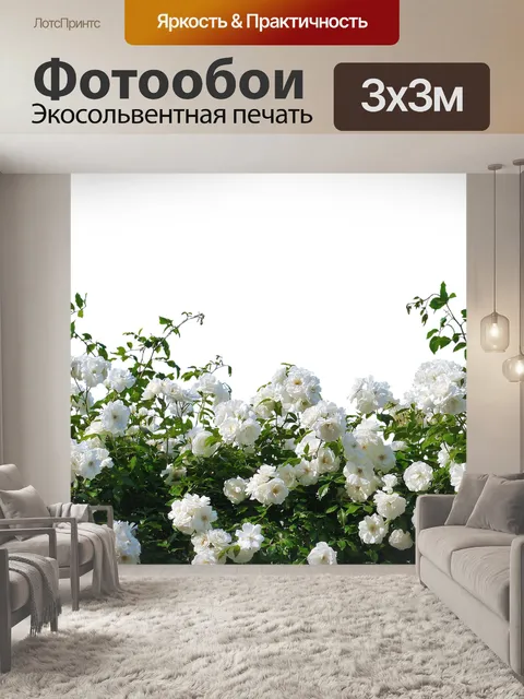 Фотообои Розы