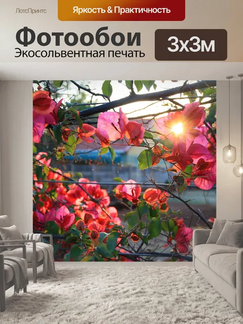 Фотообои Бугенвиль и солнце внимания