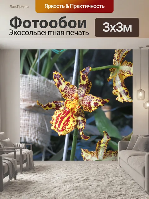 Фотообои Природа