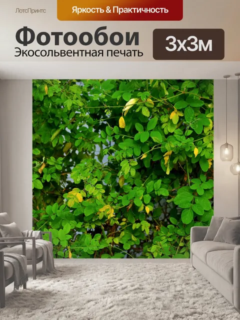 Фотообои Деревья и листья 23
