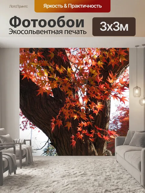 Фотообои Осень