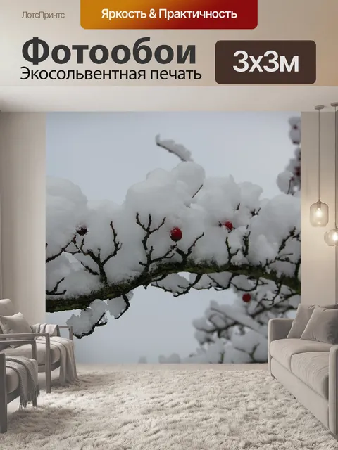 Фотообои Зима