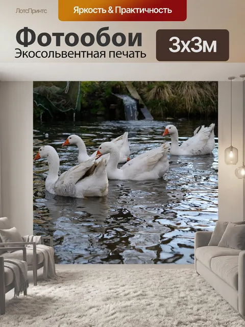 Фотообои Птица