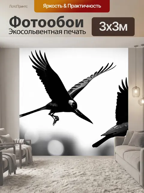 Фотообои черно-белый, показывающие различные моменты жизни птиц, создавая ощущение свободы и легкости