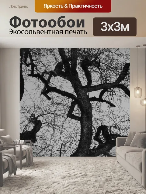 Фотообои Деревья