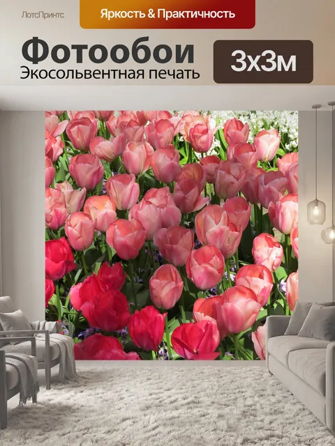 Фотообои Тюльпан