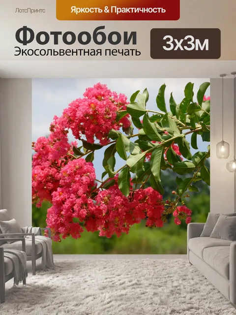 Фотообои Розовый Креп Миртл Дерево